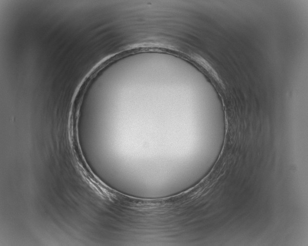 X0000084001076200702160750