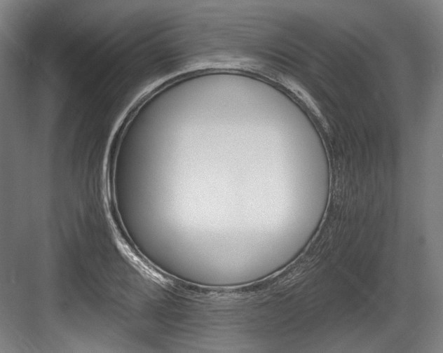 X0000084001080200702160750