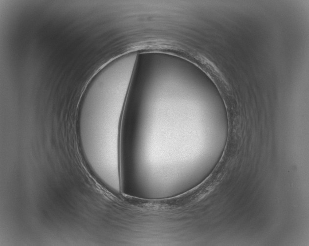 X0000084001081200702160750