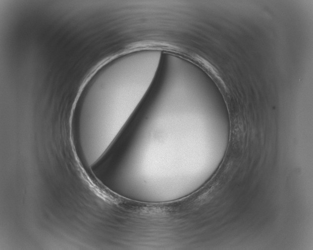 X0000084001082200702160750