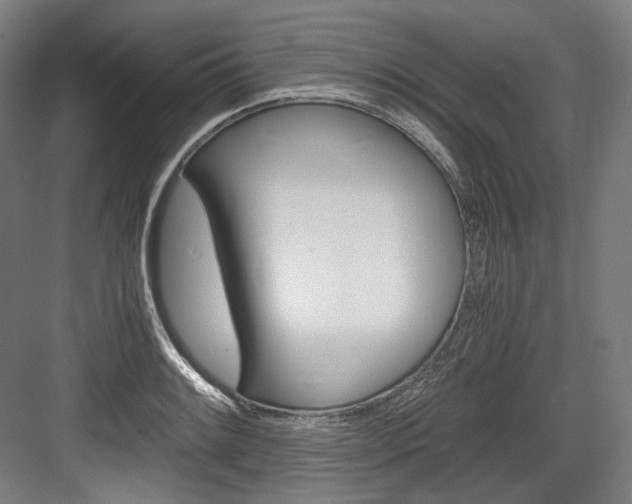 X0000084001084200702160750