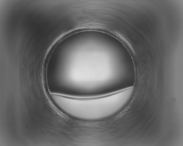 X0000084001085200702160750