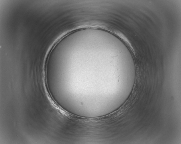 X0000084001088200702160750