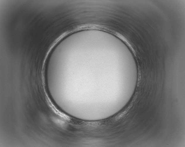 X0000084001090200702160750