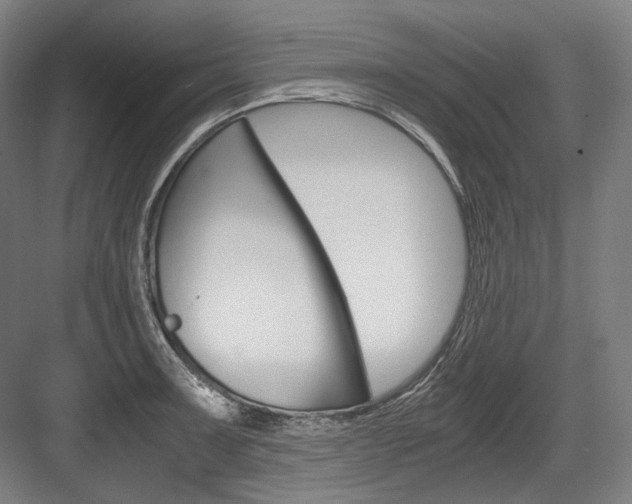 X0000084001091200702160750