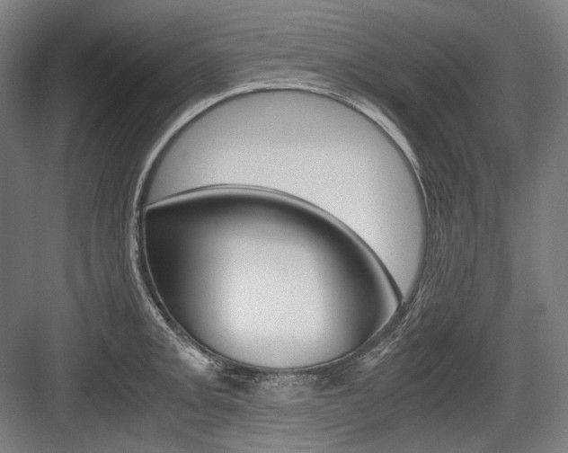 X0000084001093200702160750