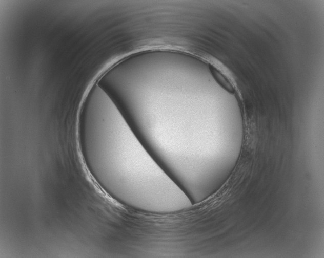X0000084001096200702160750