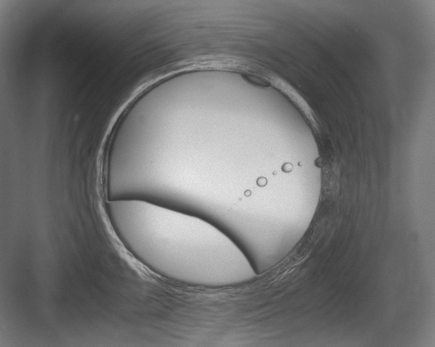X0000084001099200702160750