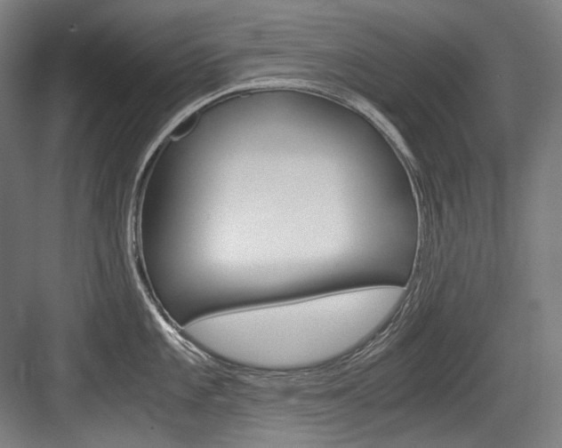 X0000084001101200702160750