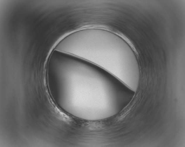 X0000084001102200702160750