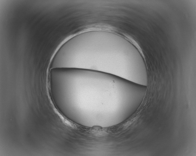 X0000084001103200702160750