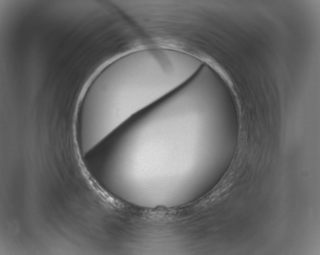 X0000084001104200702160750