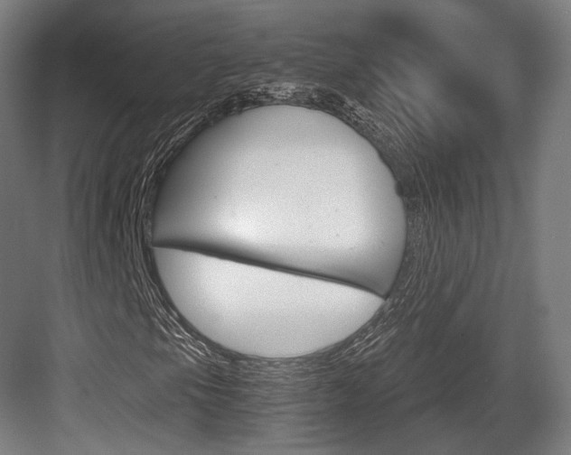 X0000084001105200702160749