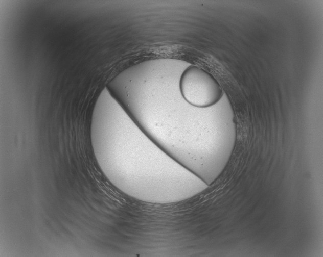 X0000084001106200702160749