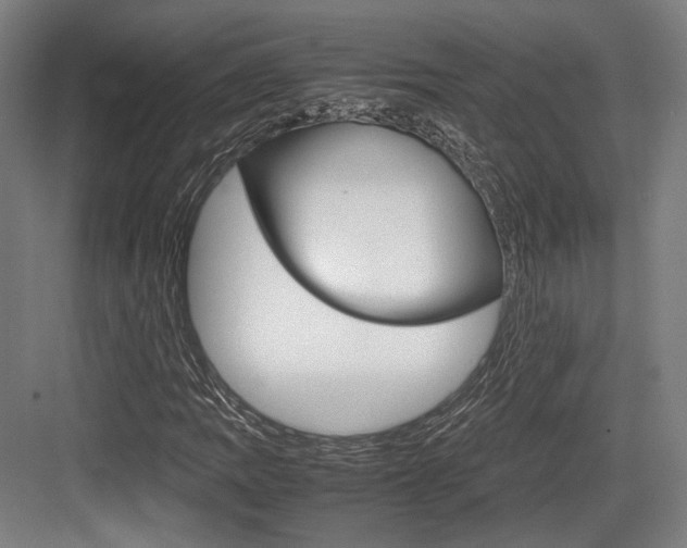 X0000084001109200702160749