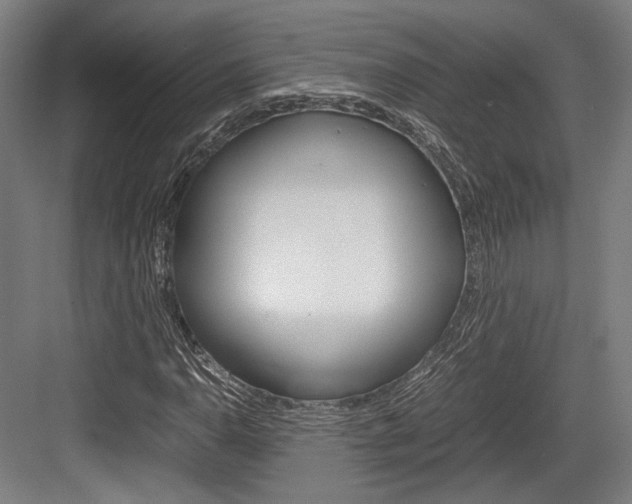 X0000084001110200702160749