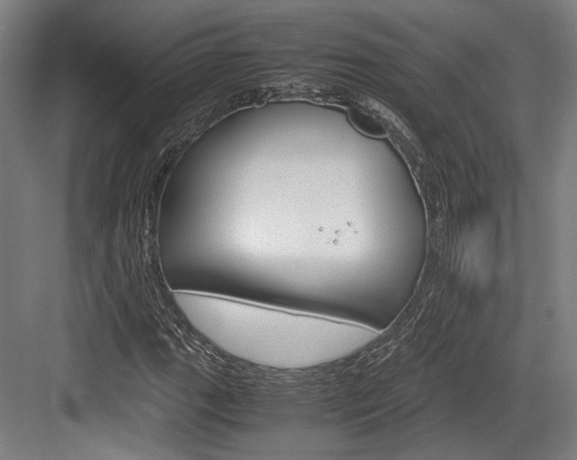 X0000084001111200702160749