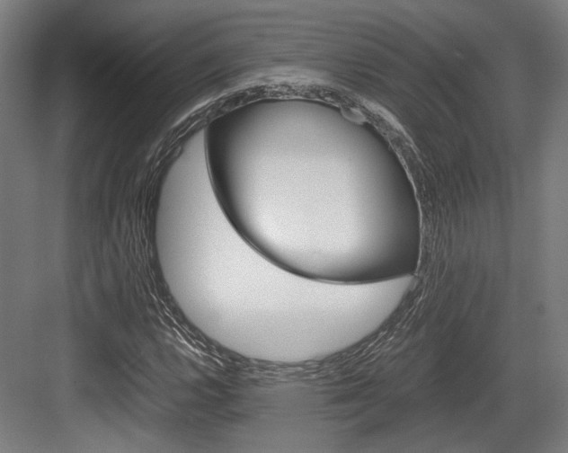 X0000084001112200702160749
