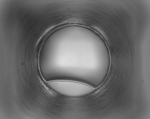 X0000084001115200702160749