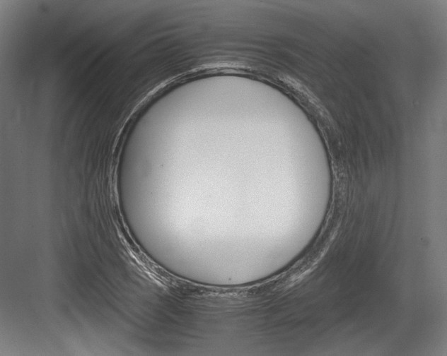 X0000084001121200702160749