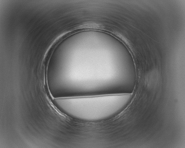 X0000084001123200702160749