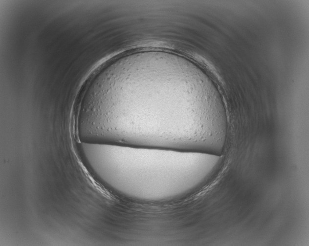 X0000084001125200702160749