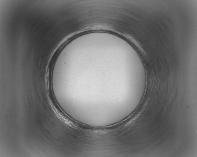 X0000084001126200702160749