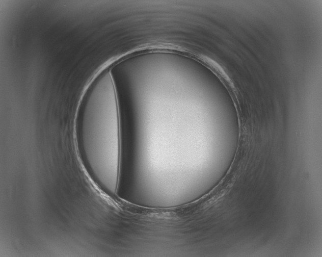 X0000084001133200702160749