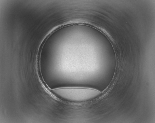X0000084001134200702160750