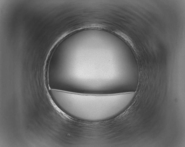 X0000084001135200702160750