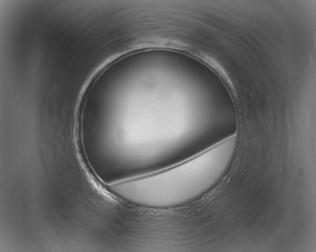 X0000084001136200702160750