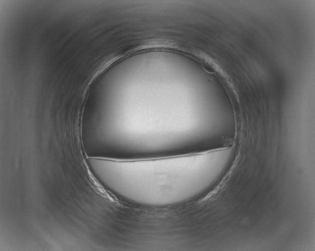 X0000084001137200702160750
