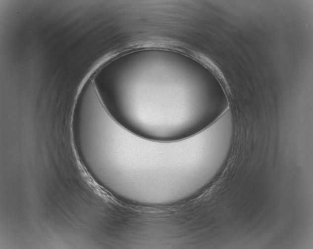 X0000084001138200702160750