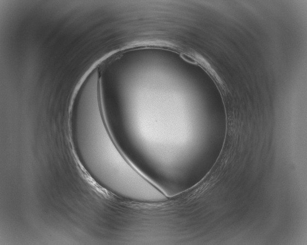 X0000084001140200702160750