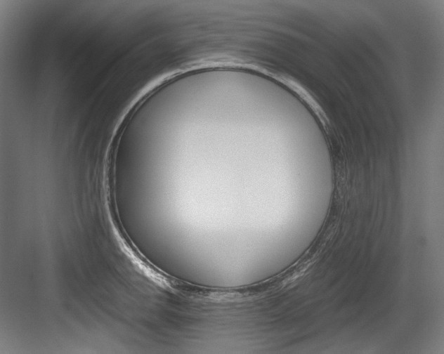 X0000084001142200702160750