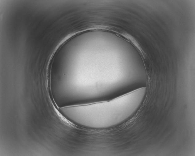 X0000084001143200702160750