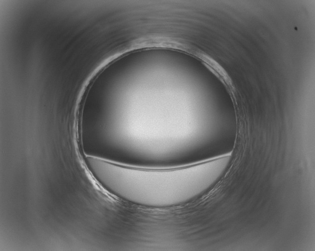 X0000084001144200702160750