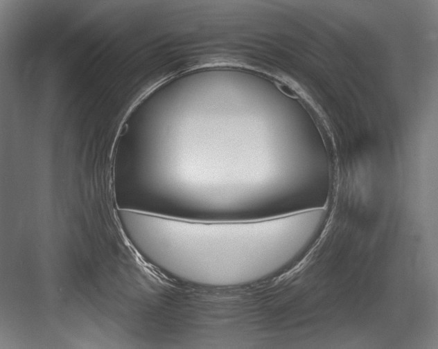 X0000084001145200702160750