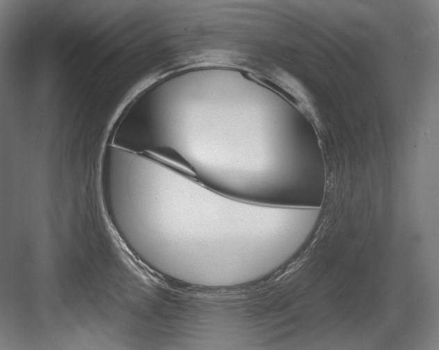 X0000084001146200702160750