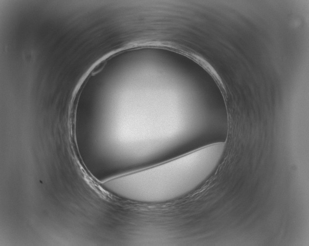 X0000084001148200702160750