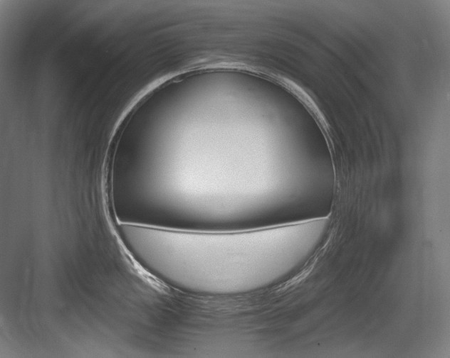 X0000084001149200702160750