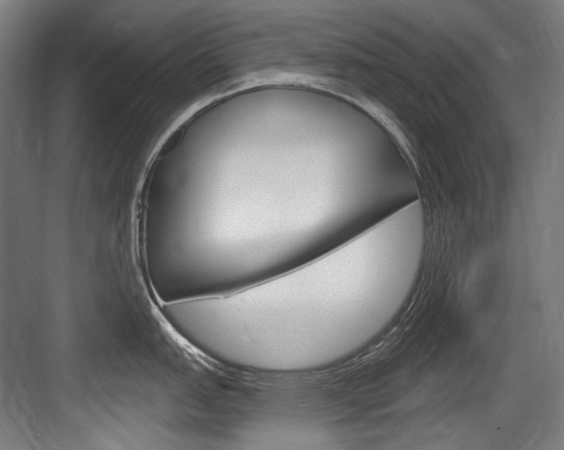 X0000084001151200702160750