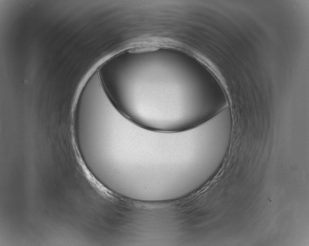 X0000084001152200702160750