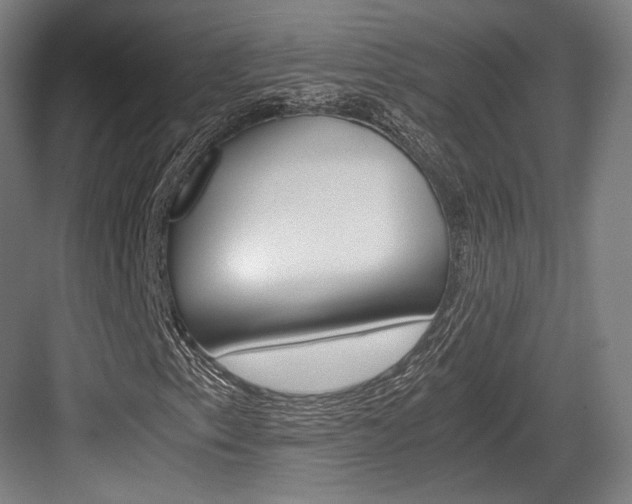 X0000084001153200702160749
