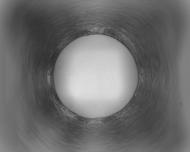 X0000084001154200702160749