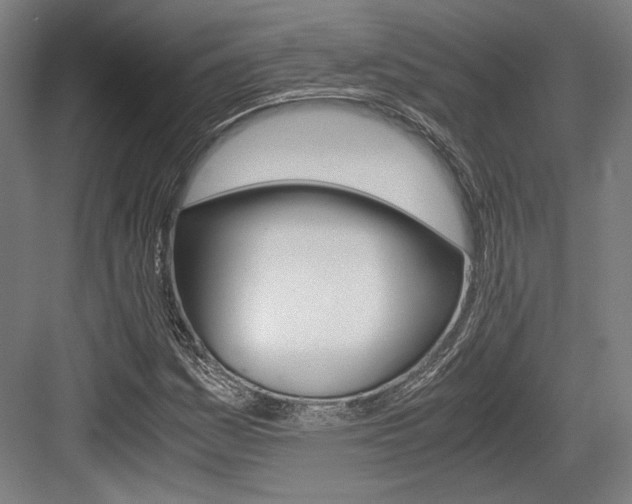 X0000084001161200702160749