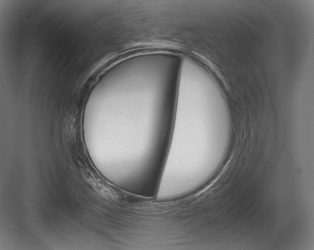 X0000084001163200702160749