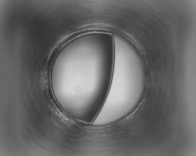 X0000084001164200702160749