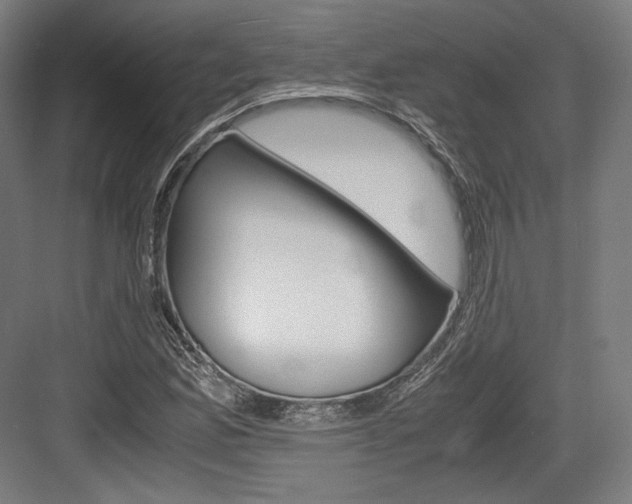X0000084001165200702160749