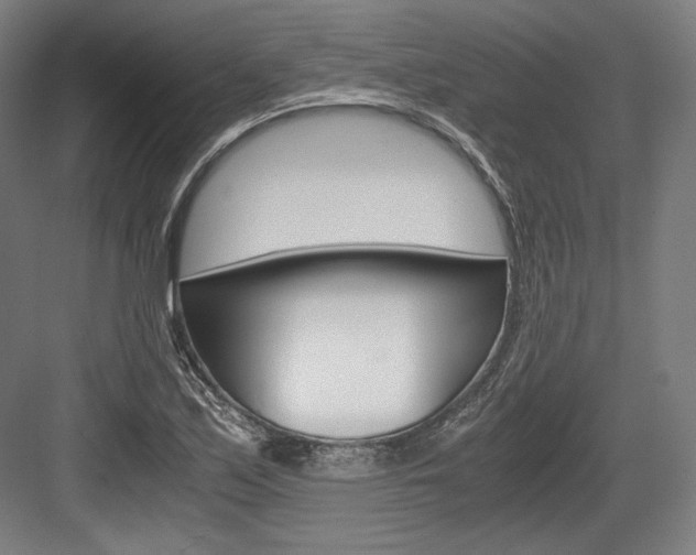 X0000084001171200702160749